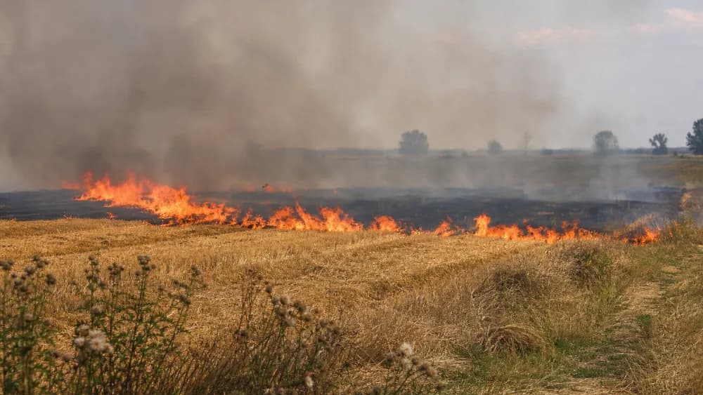 Öt település tűzoltóit riasztották a hajdúhadházi tarlótűzhöz