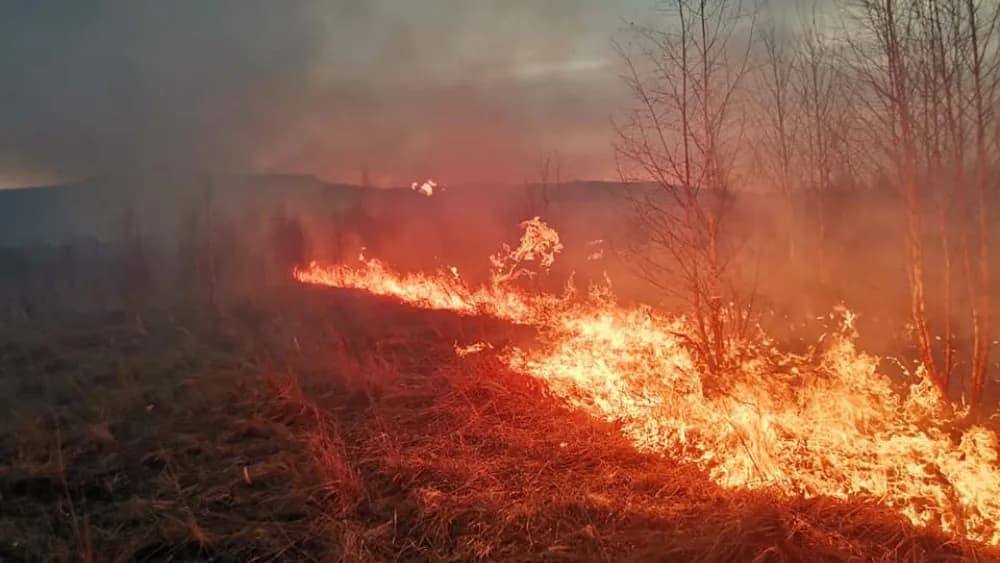 Halálos baleset és tucatnyi szabadtéri tűz adott munkát a tűzoltóknak Hajdú-Biharban